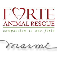 Forte Animal Rescue Fundraiser / Buy Shoes & Help Doggies Find a Home May 7th 5 to 8 PM