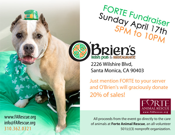 FORTE Animal Rescue O'Brien's Fundraiser - Sunday April 17th 5pm to 10pm