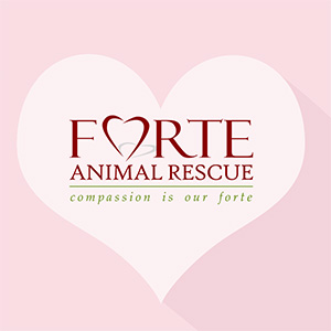 FORTE Animal Rescue Valentine's Pawty - Thursday February 12th 7:30 PM