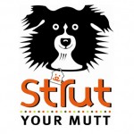 Strut Your Mutt