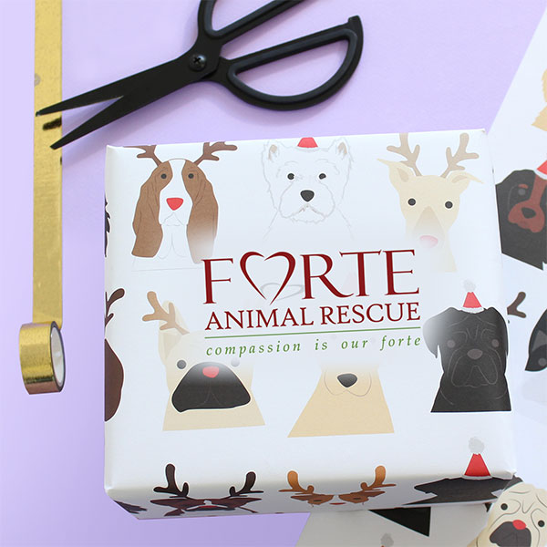 Gift Wrapping Fundraiser 12 14 And 12 15 From 5 To 9 Pm Forte