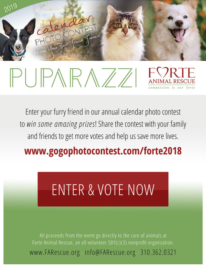 2019 Puparazzi Calendar Photo Contest