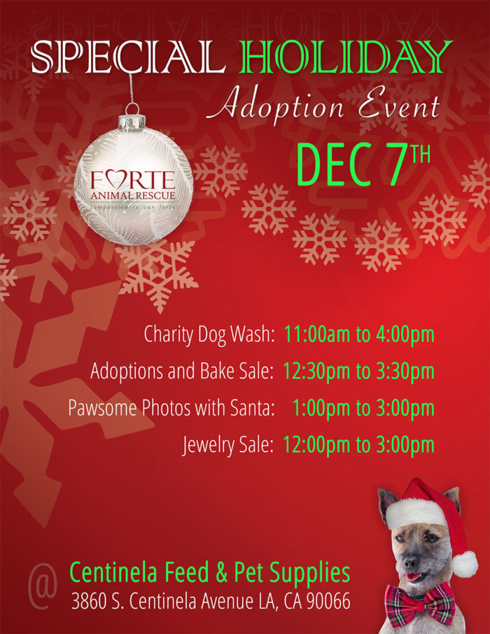 Special Holiday Adoption Event - Saturday Dec 7th