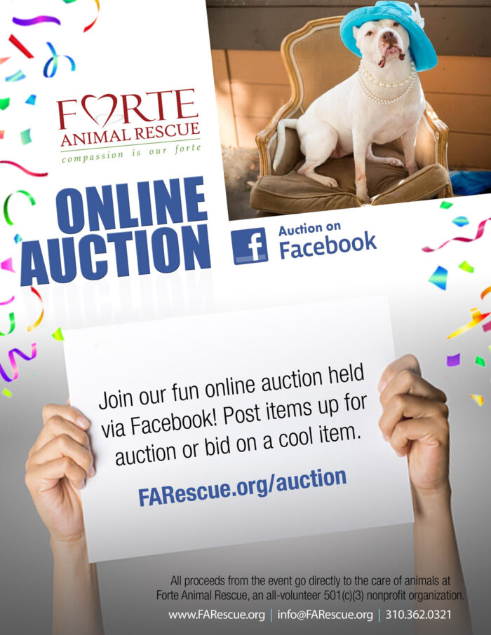 Online Auction - Forte Animal Rescue : Forte Animal Rescue