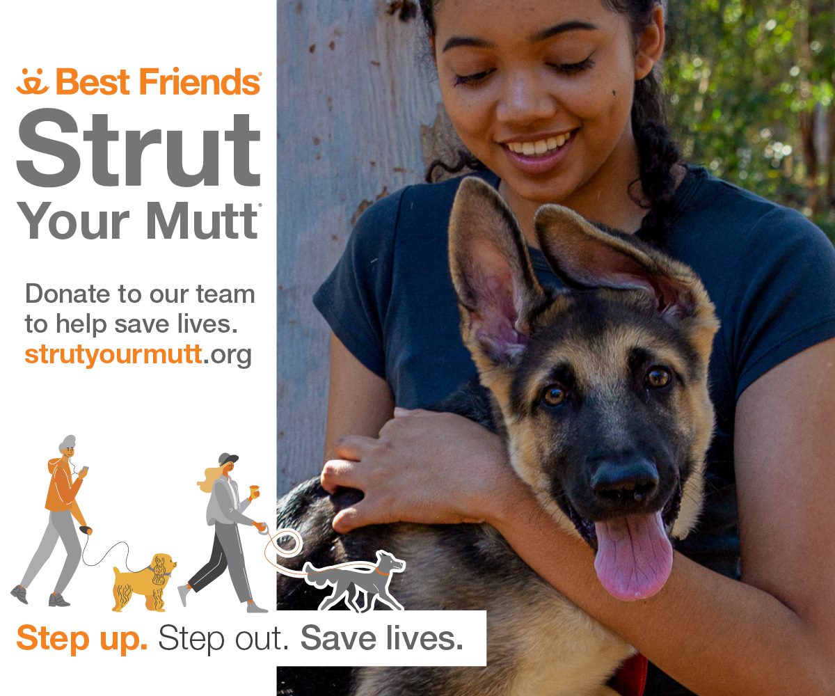 Strut Your Mutt Saturday October 22, 2022 Forte Animal Rescue