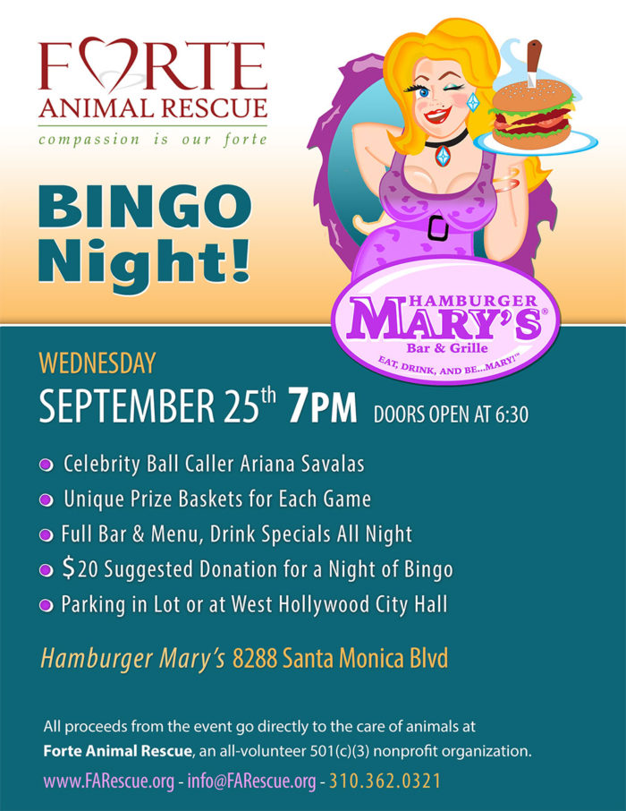 Bingo Night - September 25, 2019 at 7 PM