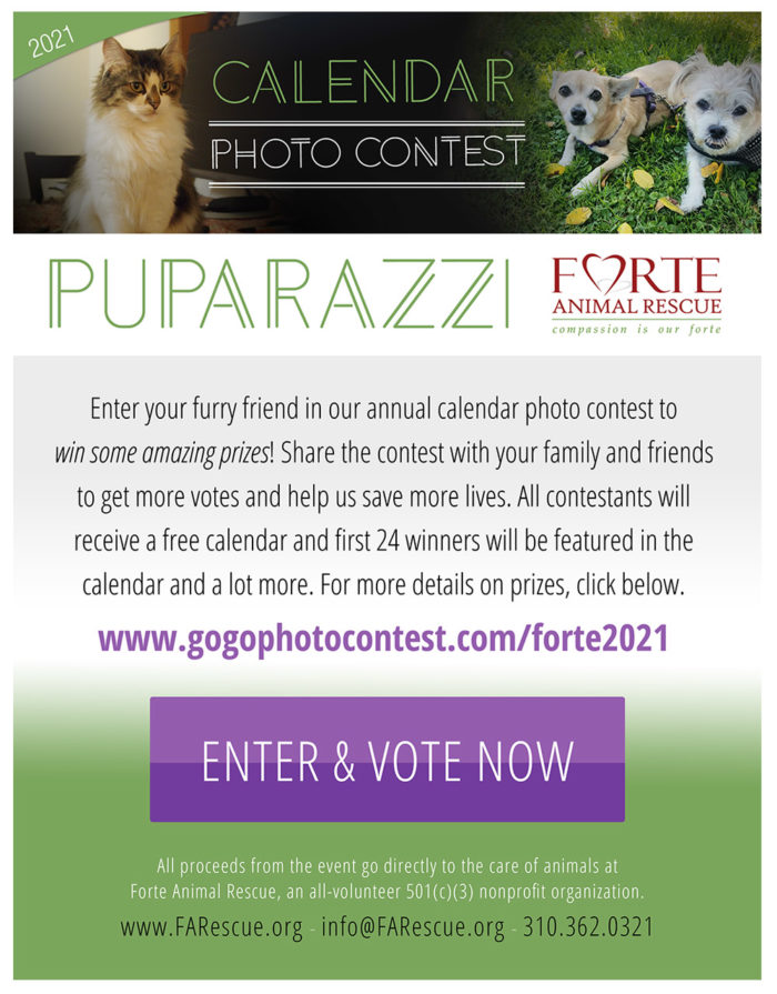 Enter & Vote Now: Forte’s Annual Photo & Calendar Contest