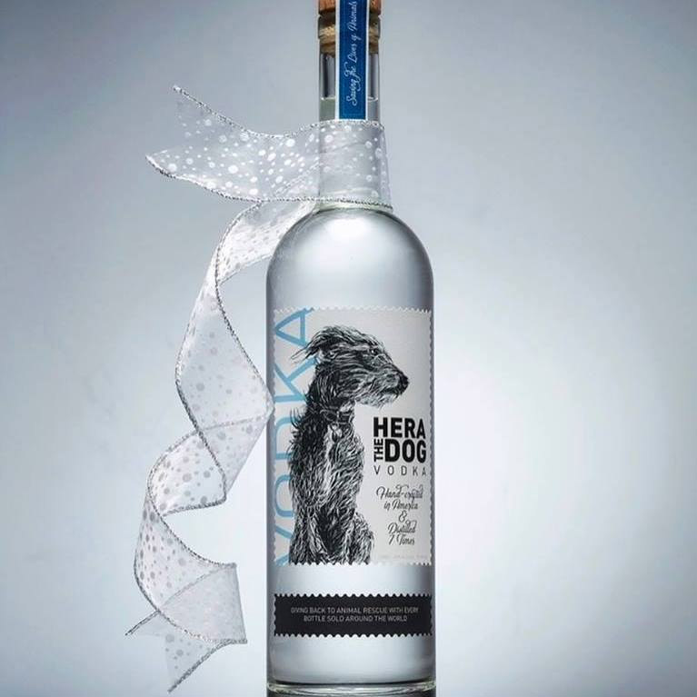 Hera the Dog Cocktail Kit Fundraiser Forte Animal Rescue Forte